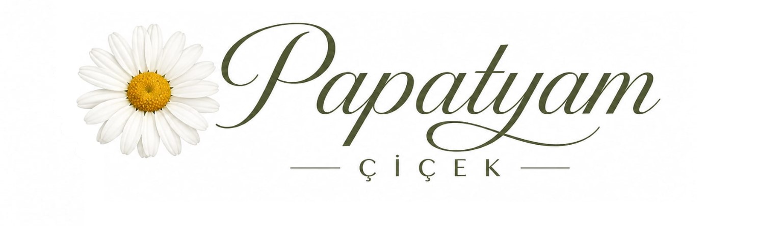 https://www.instagram.com/papatyamcicekevi/